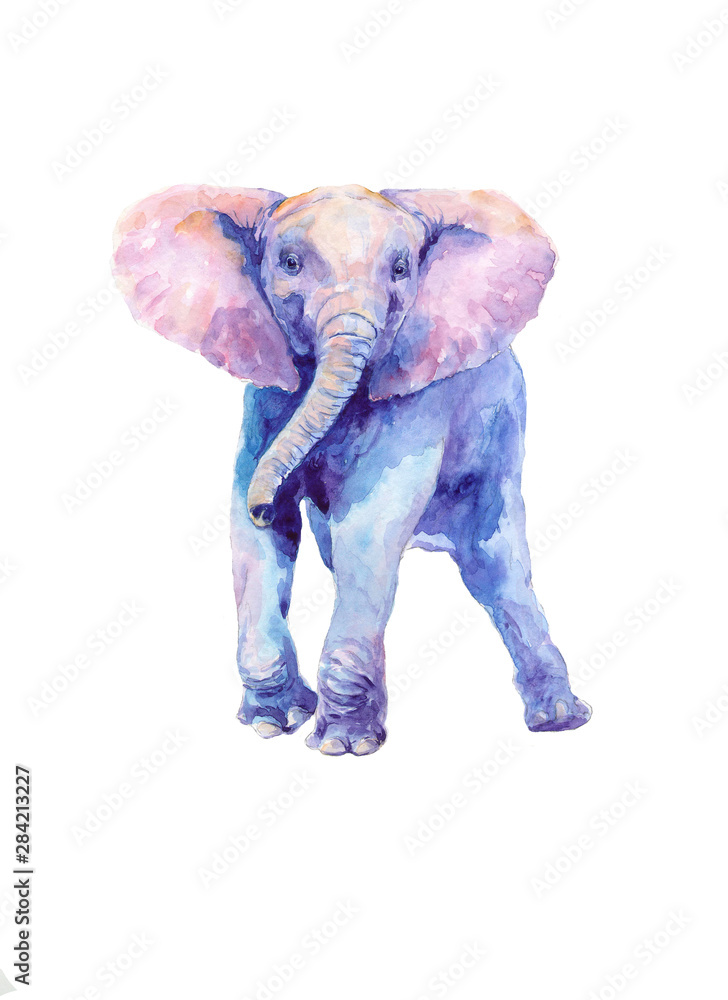 Obraz premium Watercolor drawing of a little baby elephant.