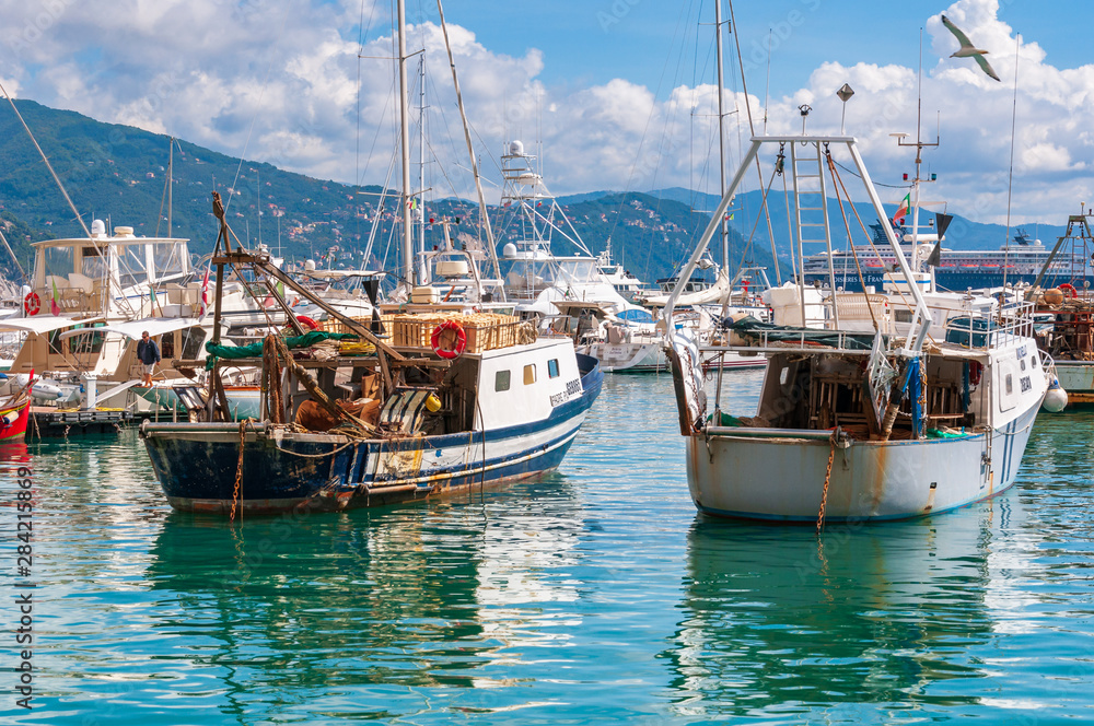Fishing boats moored at the port of Santa Margherita Ligure on a sunny day, Italy