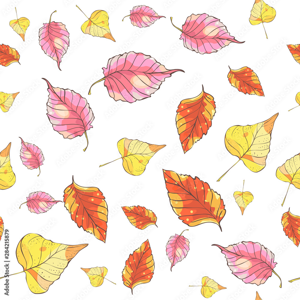 Fototapeta Wzór z ręcznie rysowanymi jesiennymi liśćmi na białym tle