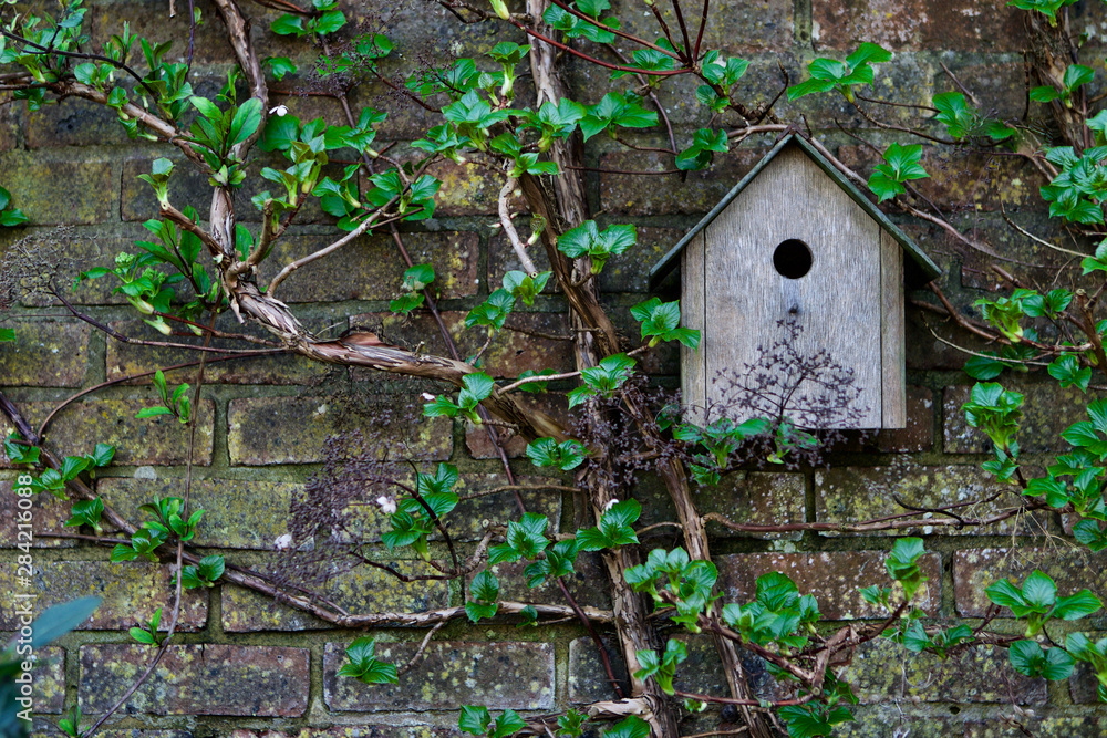 Bird house hanging on a brick wall in spring