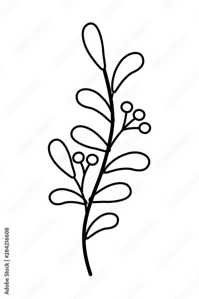 Isolated leaves design vector illustration