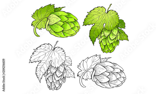 hop