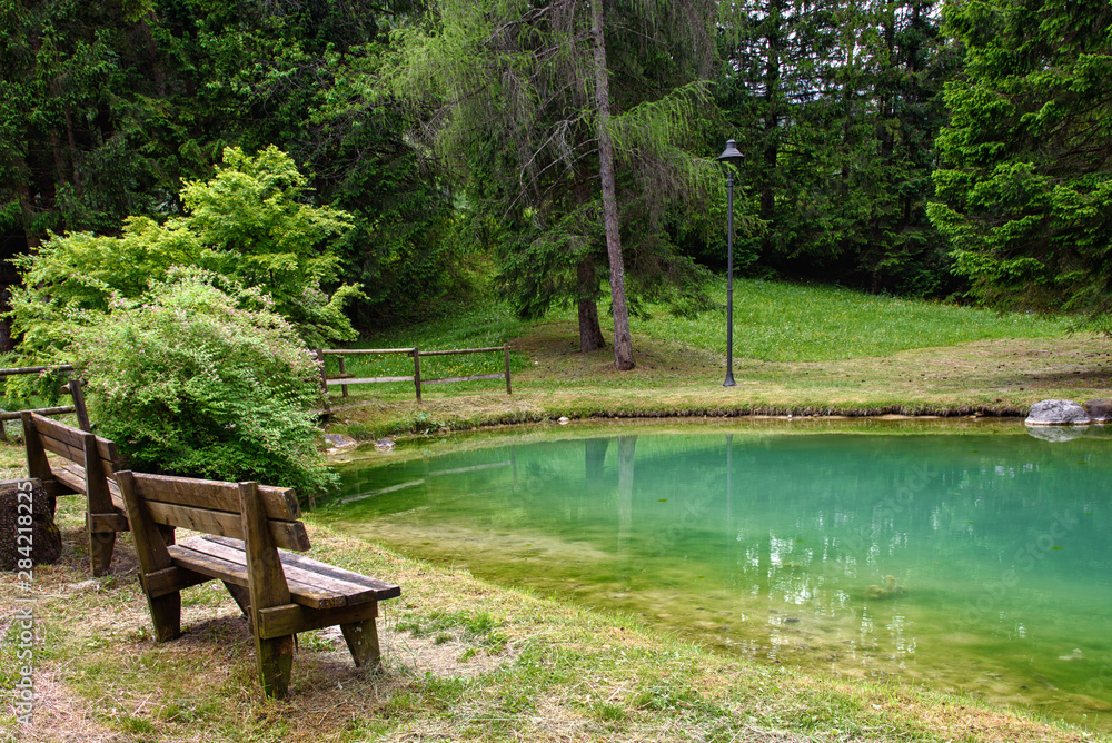 beautiful landscape with pine trees and emerald green mountain lake, fresh summer in the italian mountains; peaceful scene from the park in Forni di Sopra (Italy) with wooden benches in the foreground beautiful landscape with pine trees and emerald green mountain lake, fresh summer in the italian mountains; peaceful scene from the park in Forni di Sopra (Italy) with wooden benches in the foreground