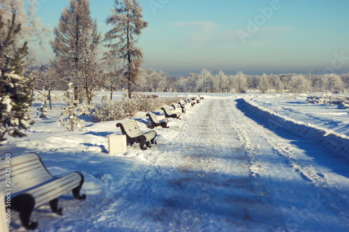 line of benches in winter park in Russia