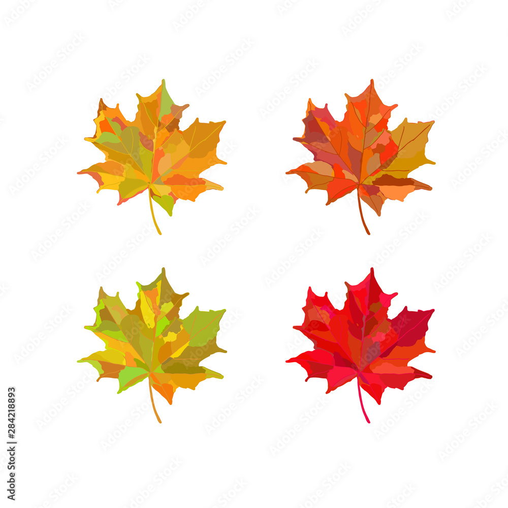 set of autumn leaves set of autumn leaves