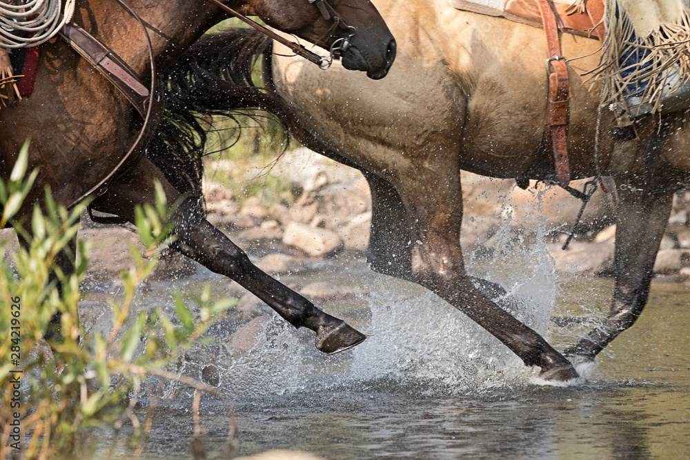 Obraz premium Powderhorn Ranch