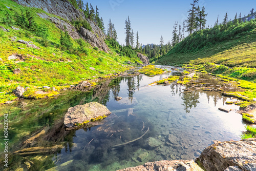 River alpine reflection in North Cascade mountains