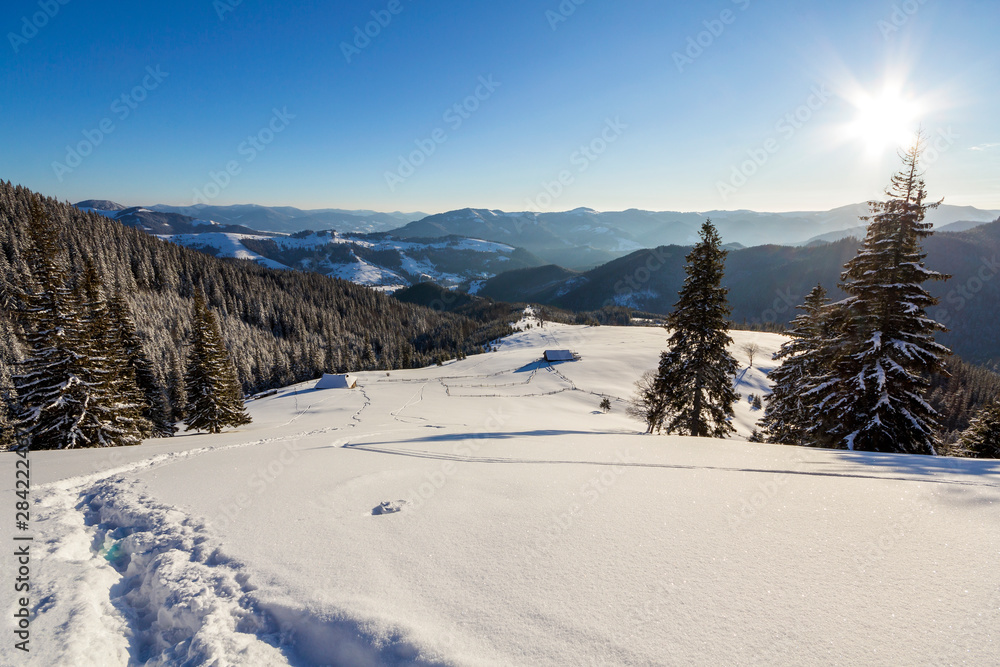 Fototapeta premium Winter Christmas landscape of mountain valley on frosty sunny day. Old wooden forsaken shepherd hut in white deep clean snow, woody dark mountain ridge, bright sun on blue sky copy space background.