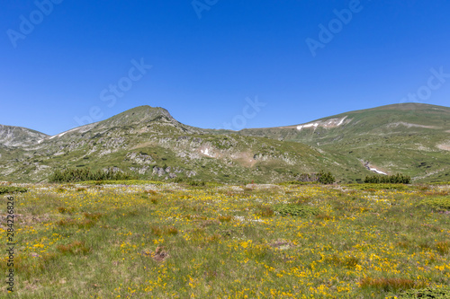 Landscape near Belmeken Peak  Rila mountain  Bulgaria