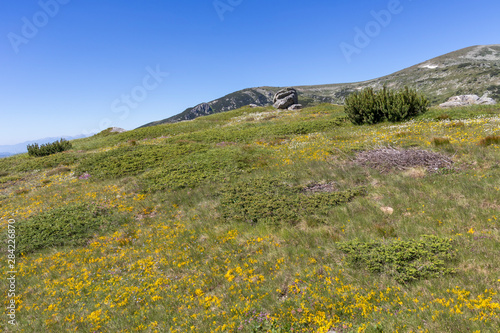 Landscape near Belmeken Peak  Rila mountain  Bulgaria