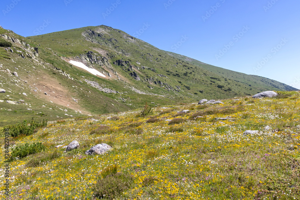 Landscape near Belmeken Peak, Rila mountain, Bulgaria