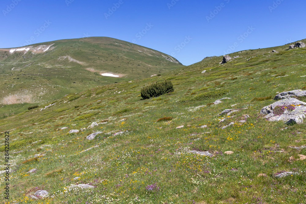 Fototapeta premium Landscape near Belmeken Peak, Rila mountain, Bulgaria