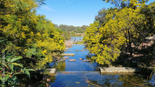 Sydney Park Wetlands St Peters Australia photo