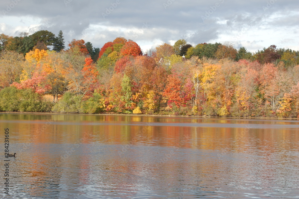 autumn landscape with lake and trees autumn landscape with lake and trees