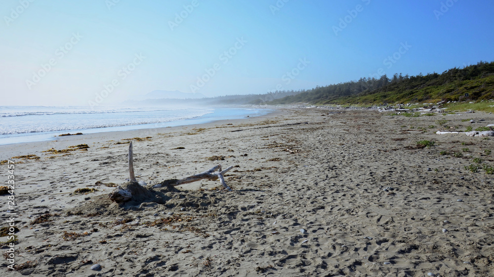 ocean waves on the Pacific coast, blue sky and water mist over the ocean on a sunny day, Vancouver Island, Pacific Rim National Park, Canada ocean waves on the Pacific coast, blue sky and water mist over the ocean on a sunny day, Vancouver Island, Pacific Rim National Park, Canada
