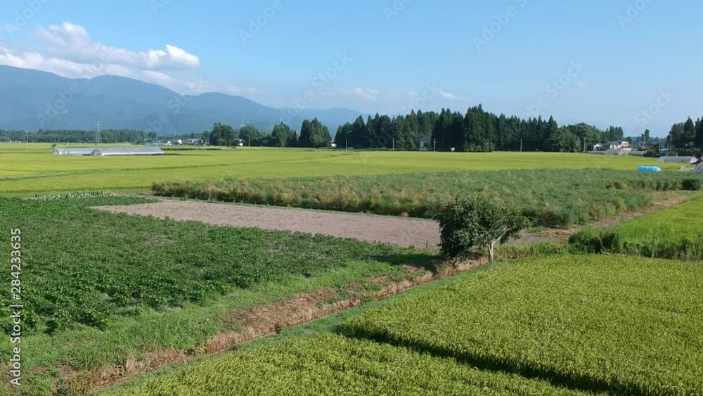 日本の田園風景 空撮 8月 日本の田園風景 空撮 8月