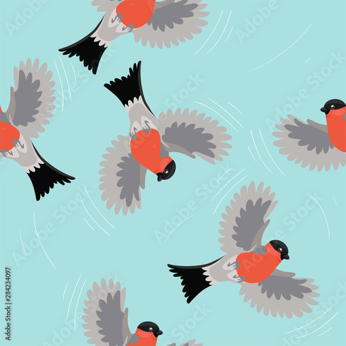 Seamless pattern with bullfinches birds . Vector graphics.