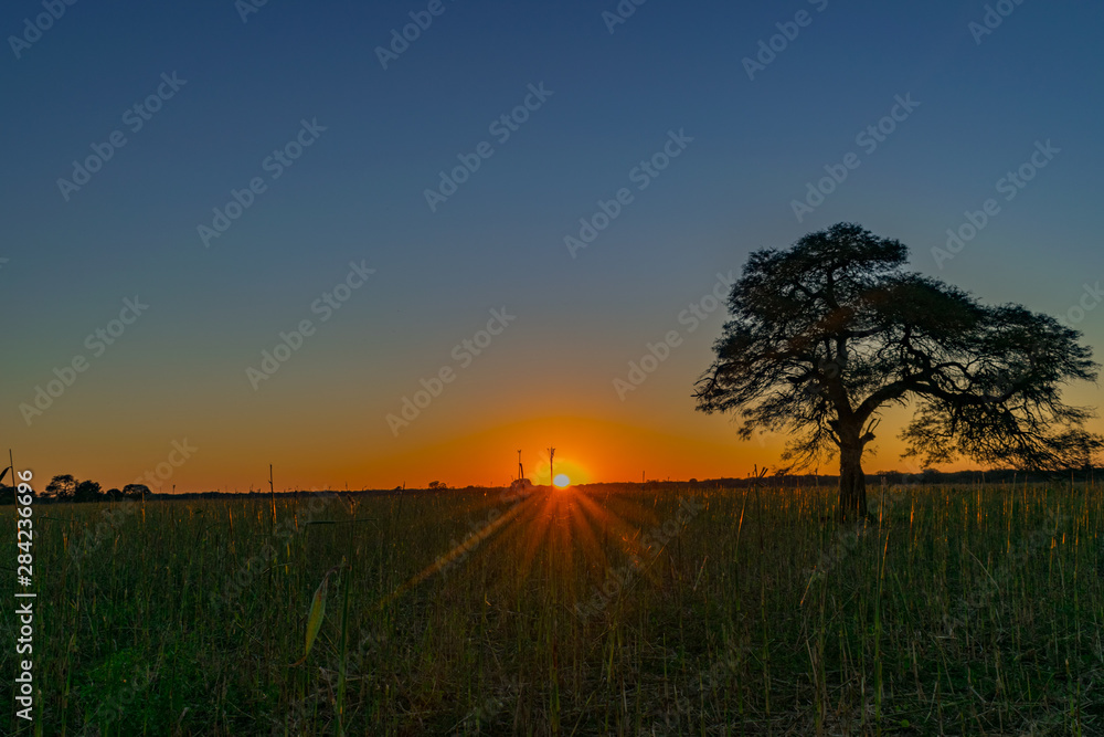 Atardecer de Campo - Chaco Argentina Atardecer de Campo - Chaco Argentina