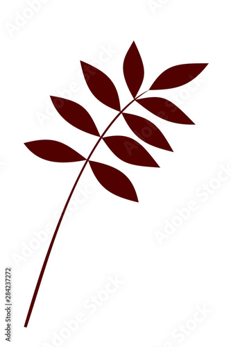 Plant Branch with Brown Leaves