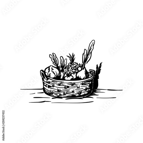 Kind of vegetables on basket retro and vintage logo hand drawn template