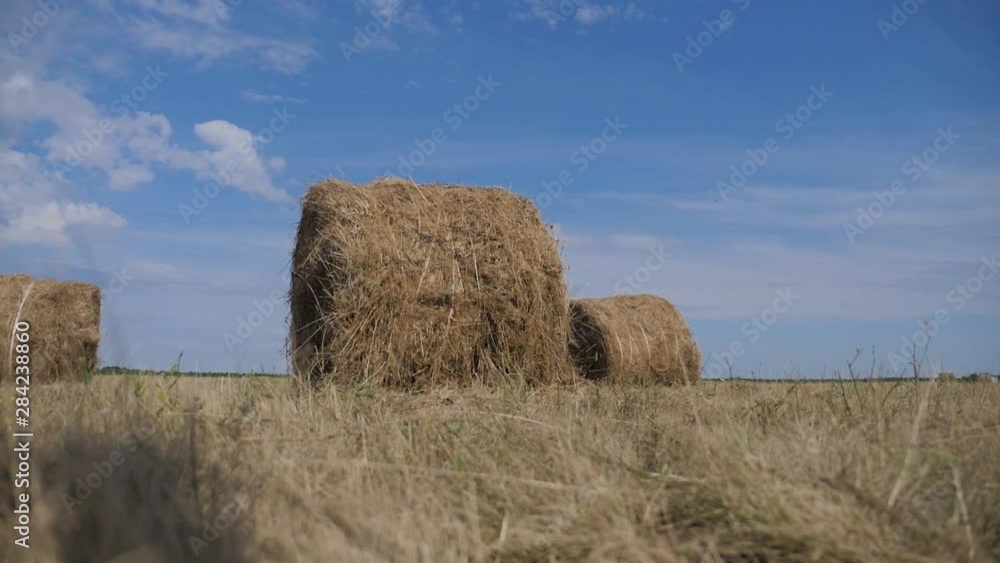 agriculture farming concept slow motion video. haystacks on wheat field lifestyle under the beautiful blue cloudy sky. Agriculture field with sky. Rural nature in the farm land. Straw on the meadow agriculture farming concept slow motion video. haystacks on wheat field lifestyle under the beautiful blue cloudy sky. Agriculture field with sky. Rural nature in the farm land. Straw on the meadow