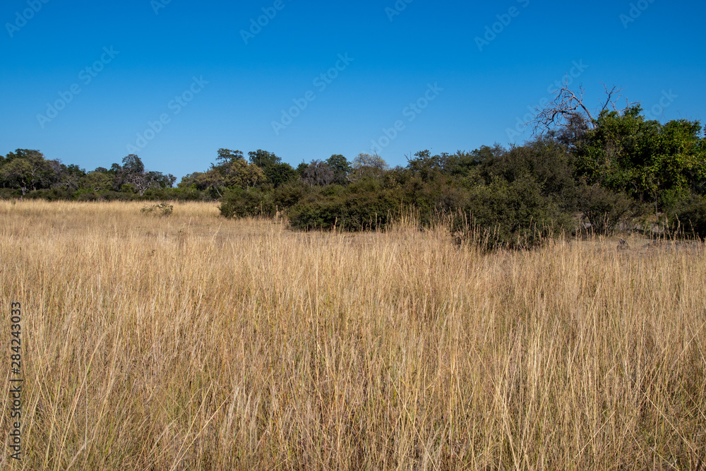 Okavango views Okavango views