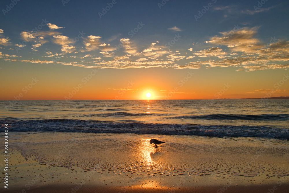 golden sunset on the beach in australia, Queensland 