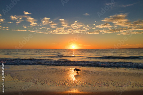 golden sunset on the beach in australia, Queensland 