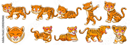 tiger vector set graphic clipart design