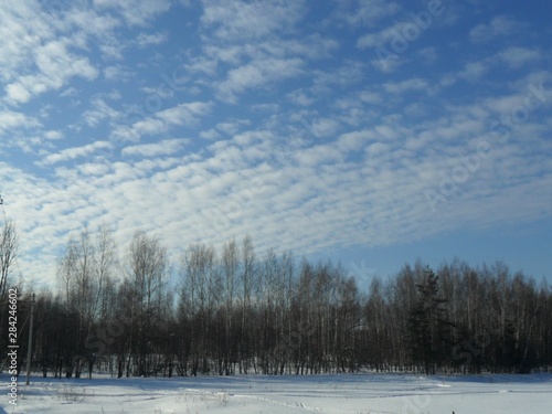 winter landscape with trees and blue sky © Наталья Шаронова