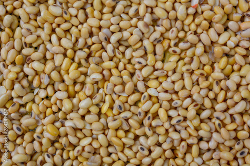 Top view of soybean background