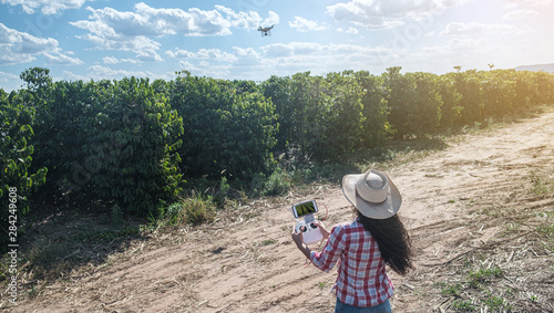 Young woman farmer analyzing a coffee plantation through a drone. Farmer using drone to fly over his coffee plantation. Technology on the farm.