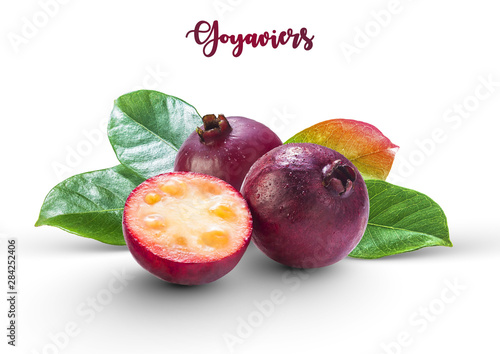 Photos Little purple berries called ‘’Goyaviers’’, also chinese guavas (from Brazil) wi