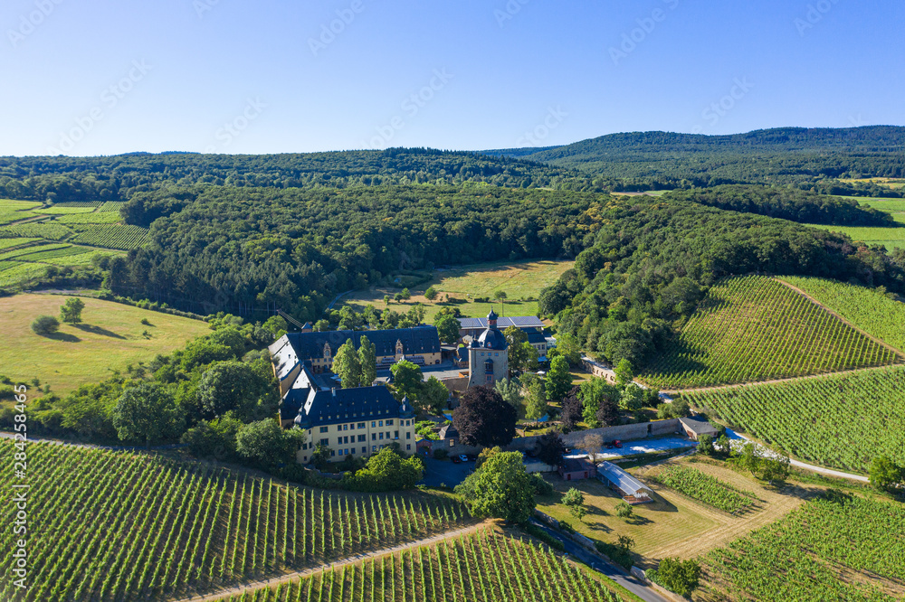 Blick aus der Vogelperspektive auf die Weinberge rund um Schloss Vollrads nahe Oestrich-Winkel /Deutschland im Rheingau