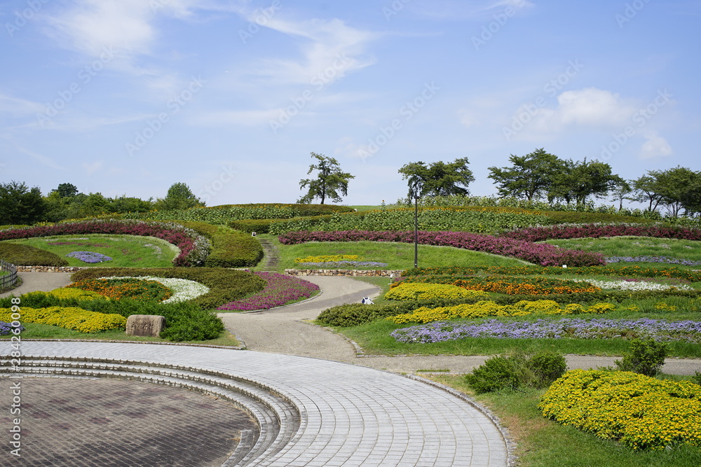 花が咲く夏の公園　Summer park with blooming flowers