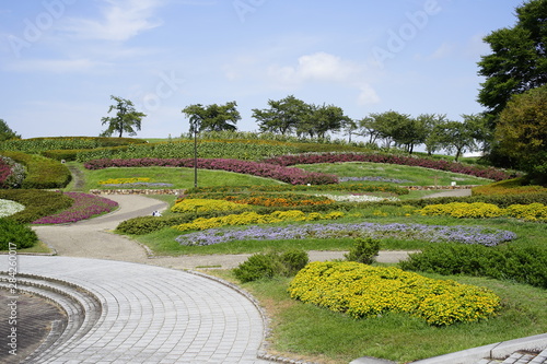 花が咲く夏の公園 Summer park with blooming flowers