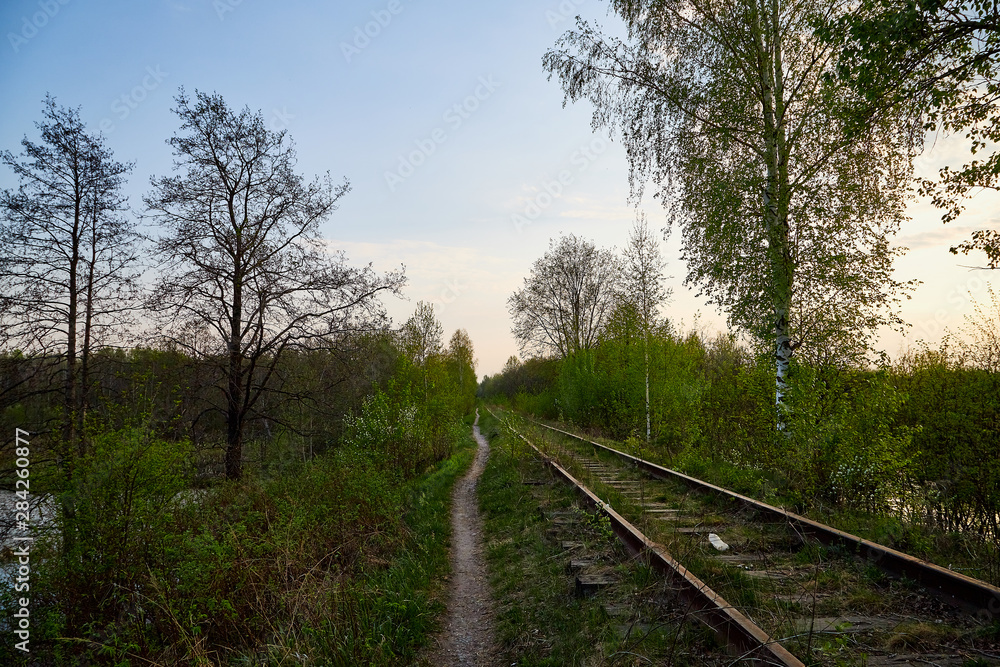 Beautiful landscape with railway, trees and grass. Nature during sunset in spring evening Beautiful landscape with railway, trees and grass. Nature during sunset in spring evening