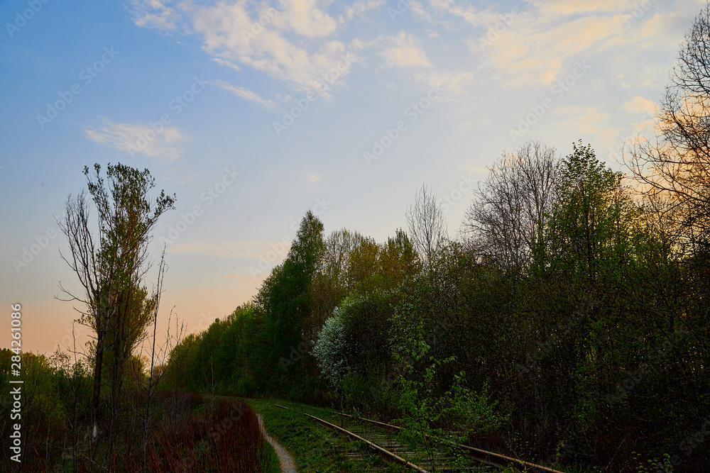 Beautiful landscape with railway, trees and grass. Nature during sunset in spring evening Beautiful landscape with railway, trees and grass. Nature during sunset in spring evening