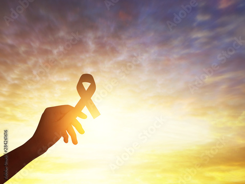 Close up of hand holding breast cancer awareness, silhouette concept background. photo