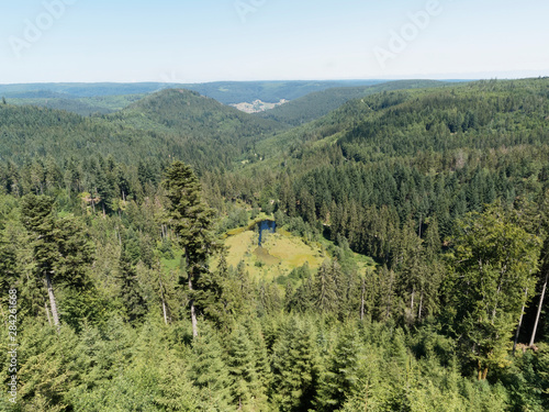 Schwarzwaldlandschaft. Ellbachsee. Aussichtsplattform Ellbachseeblick