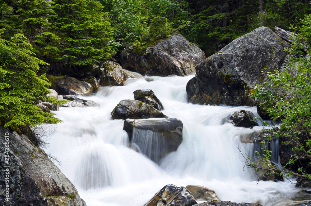 Fototapeta premium Rivière du Col-Rogers, Canada 1