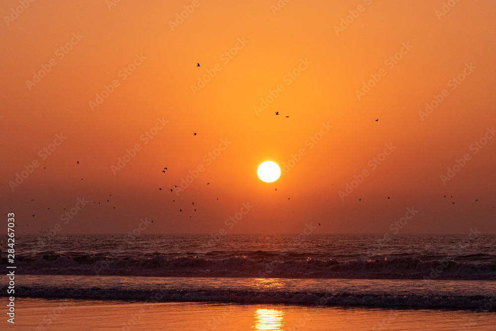 Siilhouette of birds in flight at golden hour sunset over the ocean