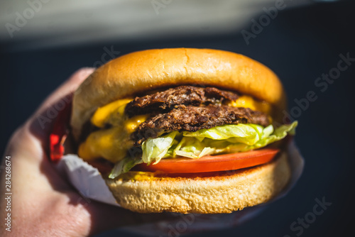 person holding a cheeseburger