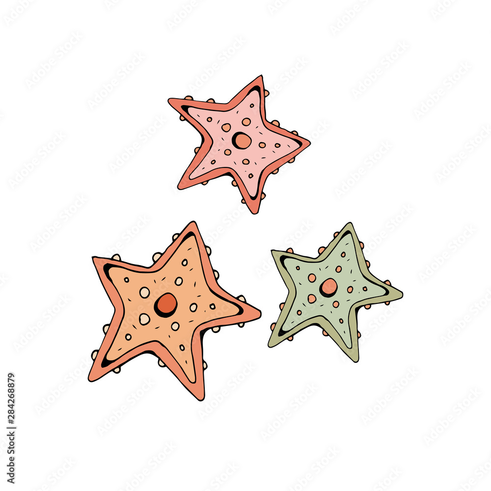 Starfish green, pink and coral. Vector object on white background. Retro style. In isolation. Hand drawing. Starfish green, pink and coral. Vector object on white background. Retro style. In isolation. Hand drawing.