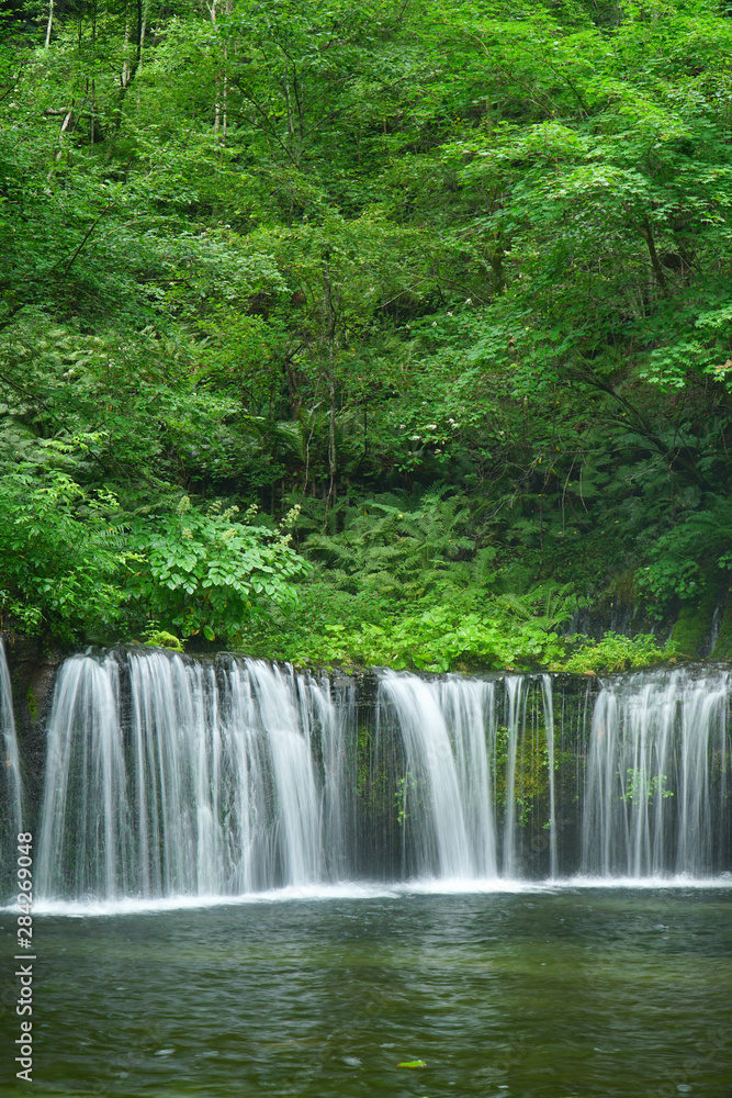 夏の白糸の滝 夏の白糸の滝