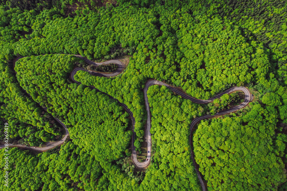 Windy forest road in the spring seen from above Windy forest road in the spring seen from above