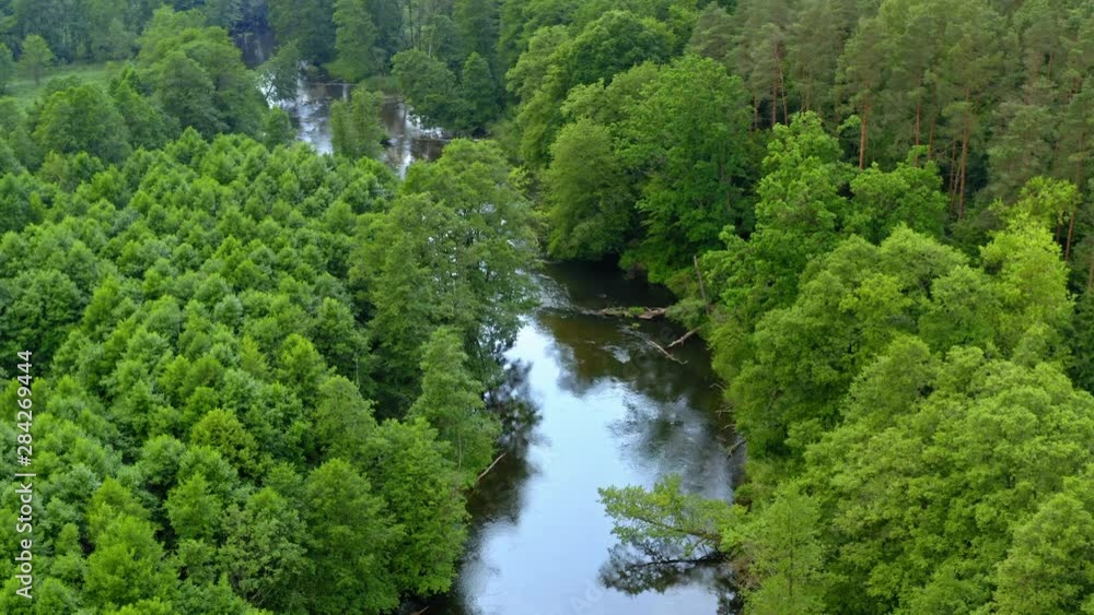 River and forest in Tuchola natural park, aerial view, Poland River and forest in Tuchola natural park, aerial view, Poland
