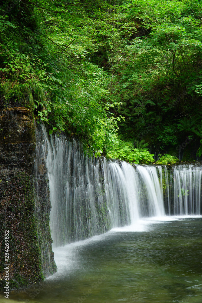 夏の白糸の滝