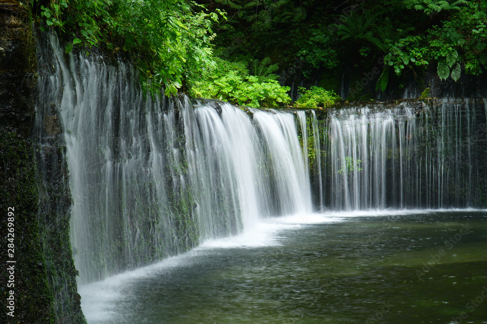夏の白糸の滝 夏の白糸の滝