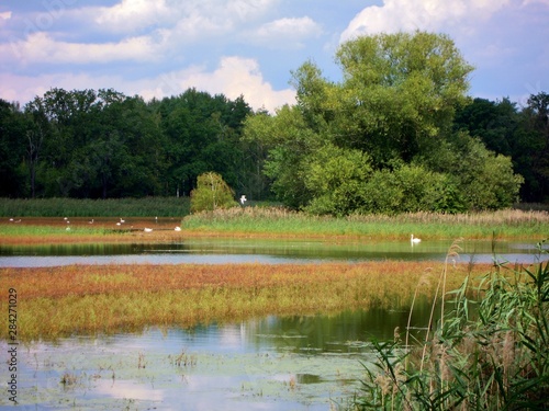 Radroute Seeadlerrundweg in der Oberlausitzer Heide- und Teichlandschaft